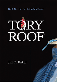 Tory Roof Book Cover